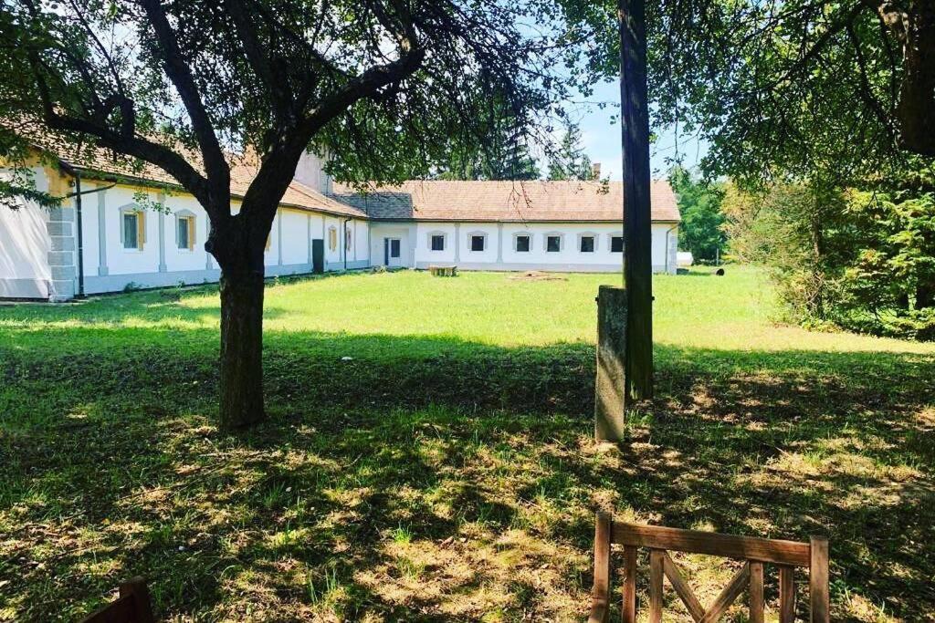Green Paradise Vendég és Rendezvényház Apartman Szentpeterfa Kültér fotó